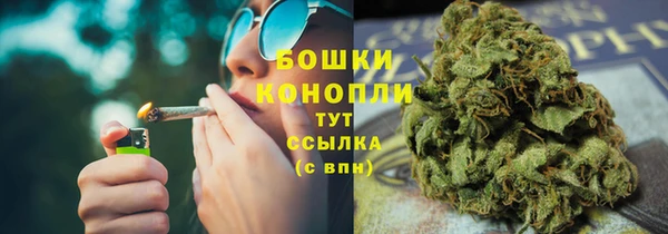 ПСИЛОЦИБИНОВЫЕ ГРИБЫ Богородск