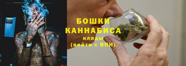 крисы Бугульма