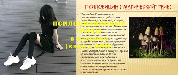 гидра Приозерск
