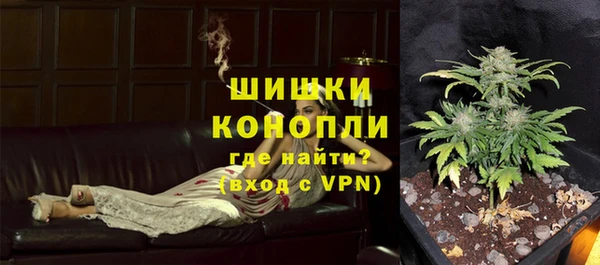 ПСИЛОЦИБИНОВЫЕ ГРИБЫ Богородск