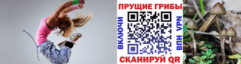Галлюциногенные грибы Cubensis  Дербент 