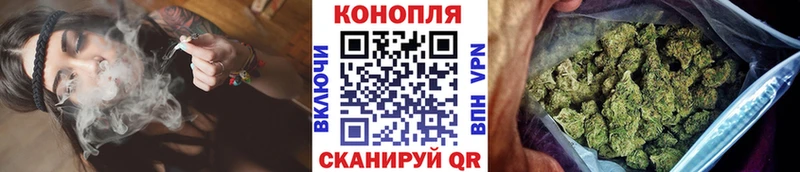 Конопля индика  Дербент 